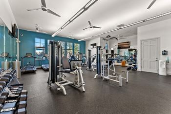 A spacious gym with a variety of equipment including treadmills, stationary bikes, and weight machines.